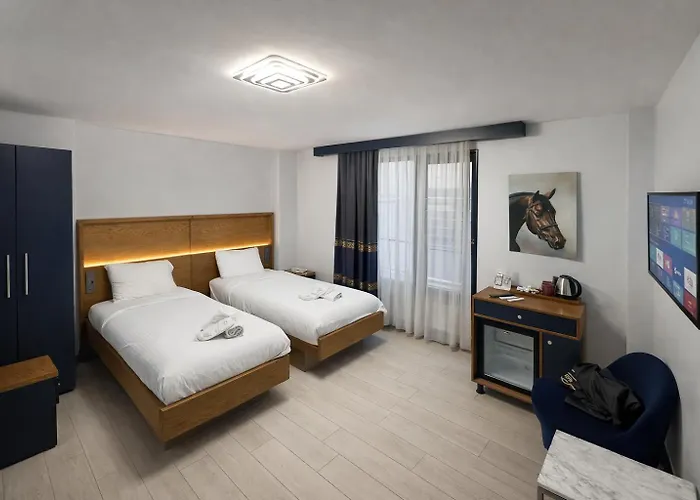 住宿加早餐酒店 Vama Taksim 伊斯坦布尔